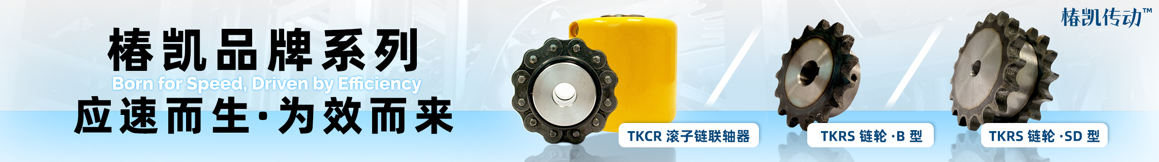 椿凯产品现已上线